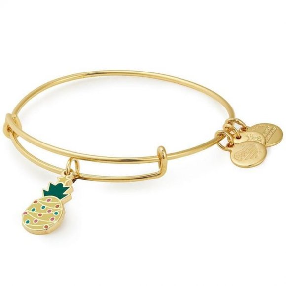 ALEX AND ANI Christmas Pineapple bangle bracelet - Picture 1 of 4